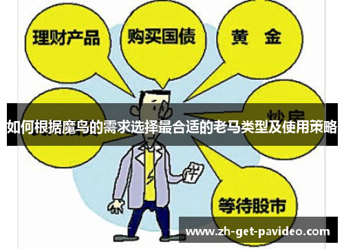 如何根据魔鸟的需求选择最合适的老马类型及使用策略