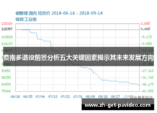 费南多退役前景分析五大关键因素揭示其未来发展方向