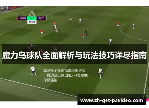 魔力鸟球队全面解析与玩法技巧详尽指南