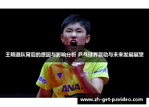 王皓退队背后的原因与影响分析 乒乓球界震动与未来发展展望